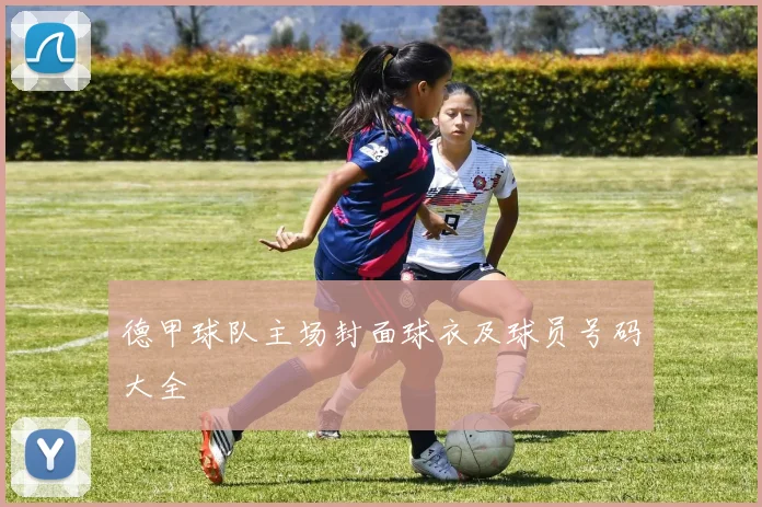 德甲球队主场封面球衣及球员号码大全