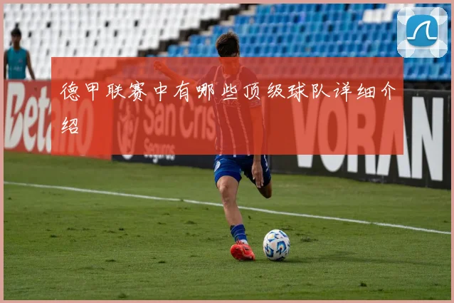 德甲联赛中有哪些顶级球队详细介绍