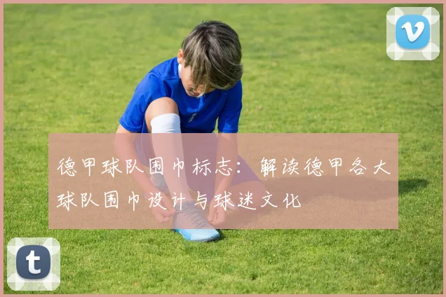 德甲球队围巾标志：解读德甲各大球队围巾设计与球迷文化