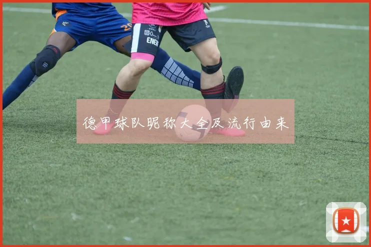 德甲球队昵称大全及流行由来